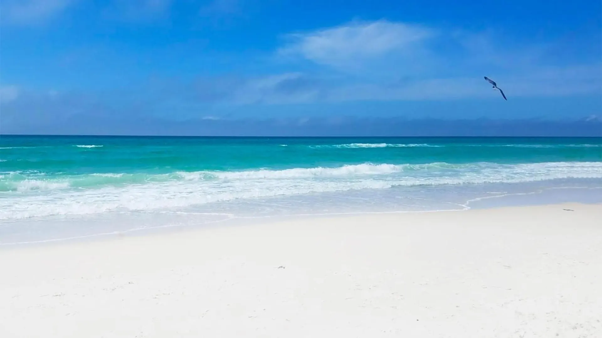Top Of The Gulf 210 Panama City Beach 0*,  Stany Zjednoczone Ameryki